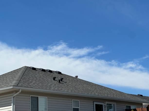 Best Roof Coating Services  in Harwich Port, MA